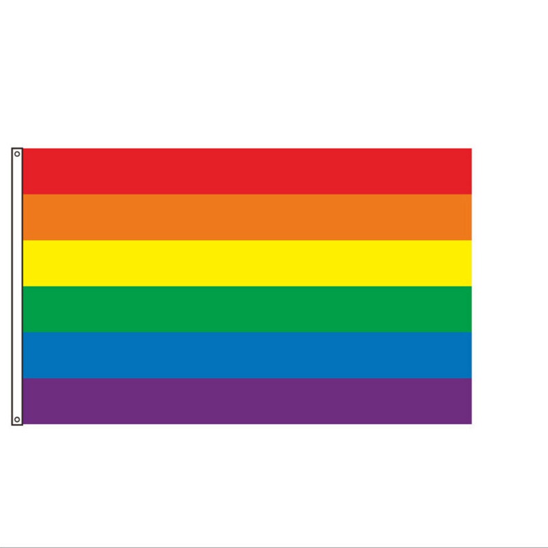 50pcs Rainbow Flags Small Hand Held Flag Mini 5 5 X 8 3 Inch Gay Pride