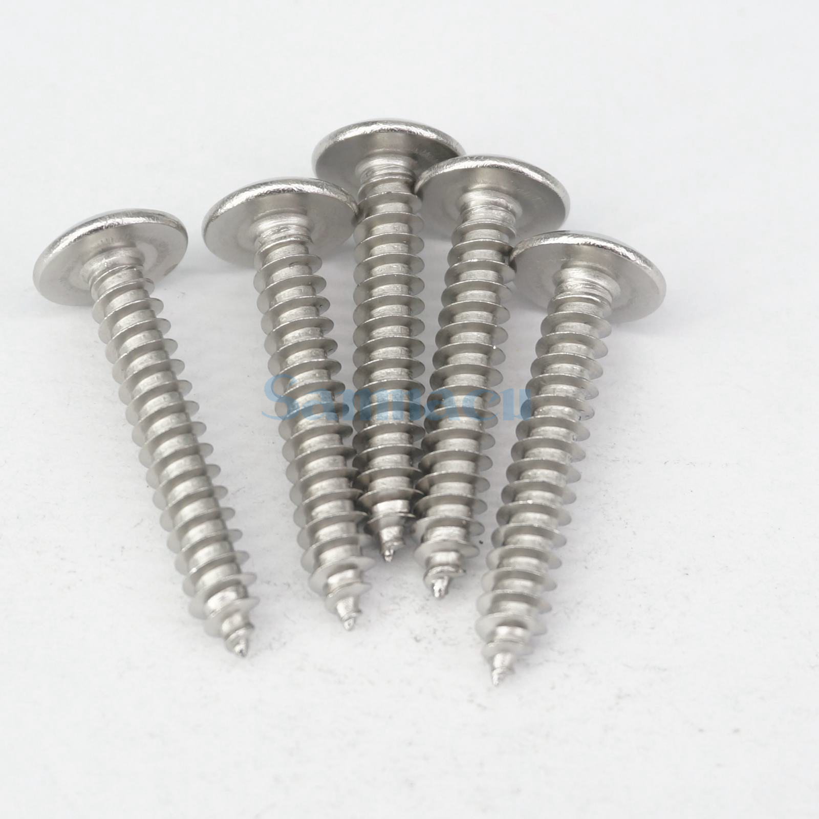 Pcs M X Stainless Steel Phillips Truss Mushroom Head Tapping