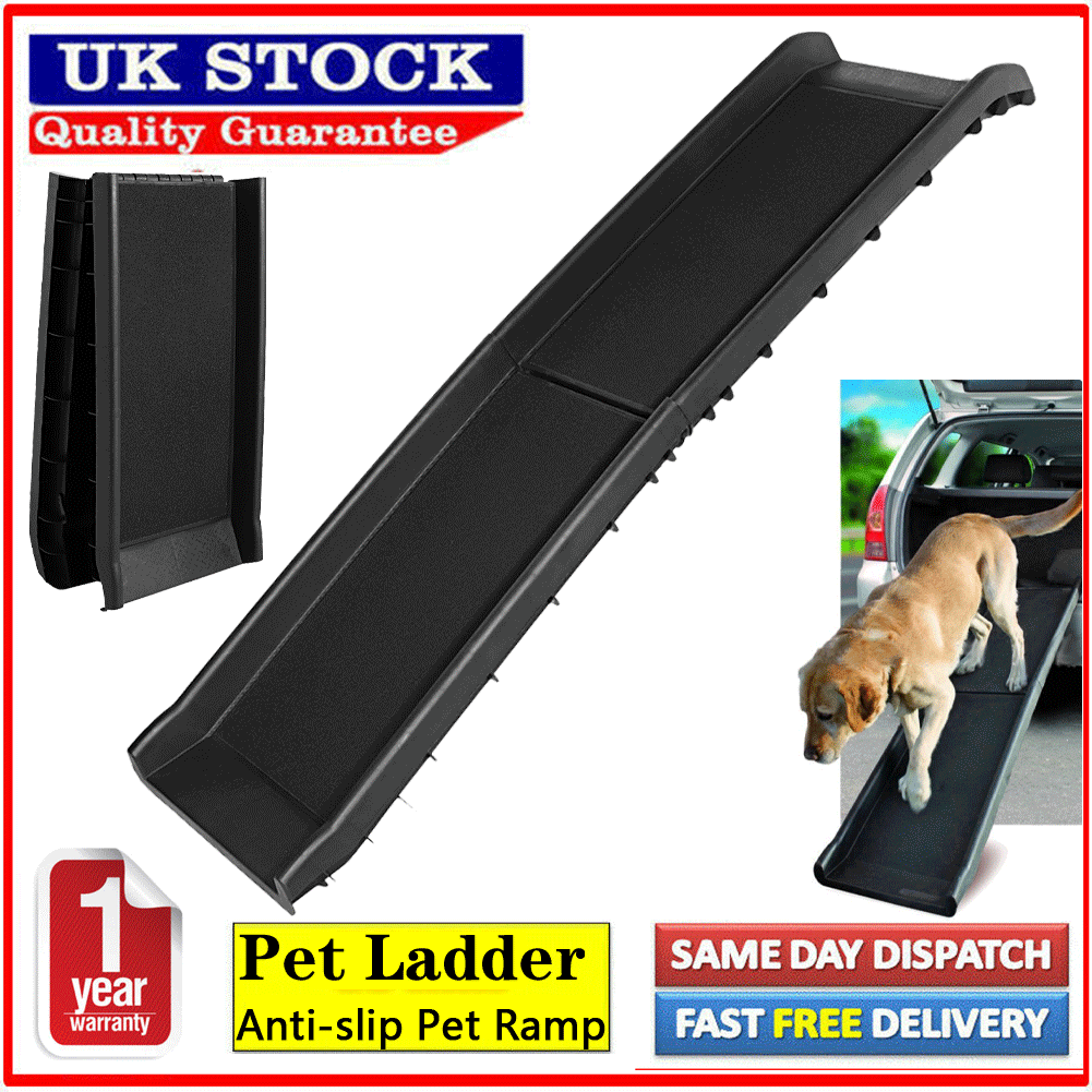 dog ramp for caravan