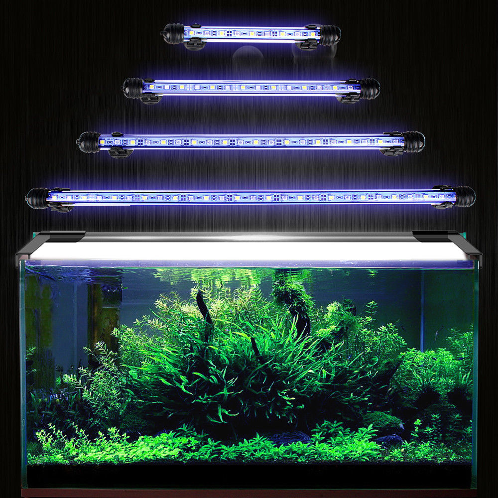 bubble curtain aquarium