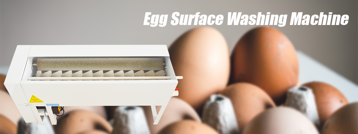  INTBUYING Egg Washer Machine for Fresh Eggs Semi-Automatic Egg  Washer Scrubber Stainless Steel Egg Washer Cleaner Machine Egg Surface  Cleaning Machine Egg Washer Brush Tool 1500-2000/hour 110V : Appliances