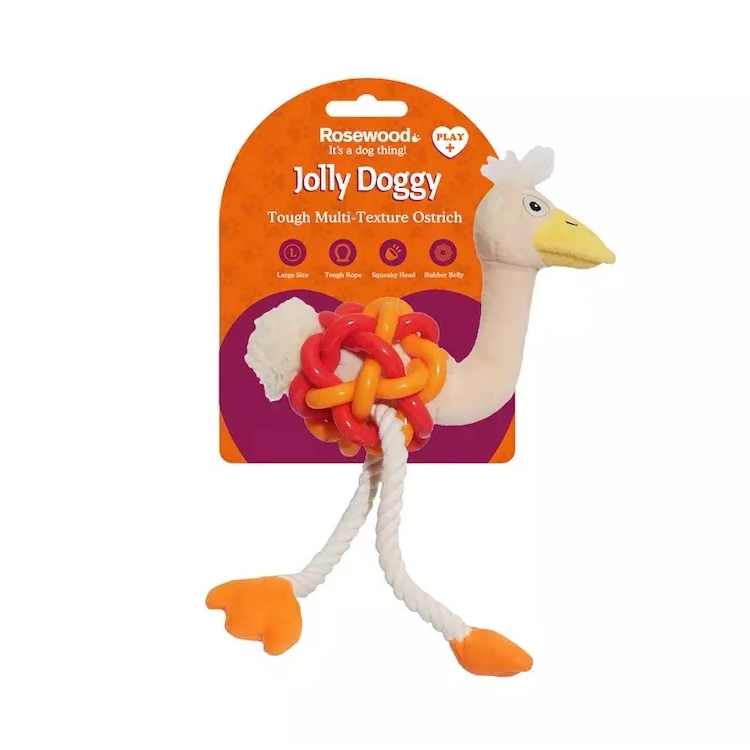 jolly doggy