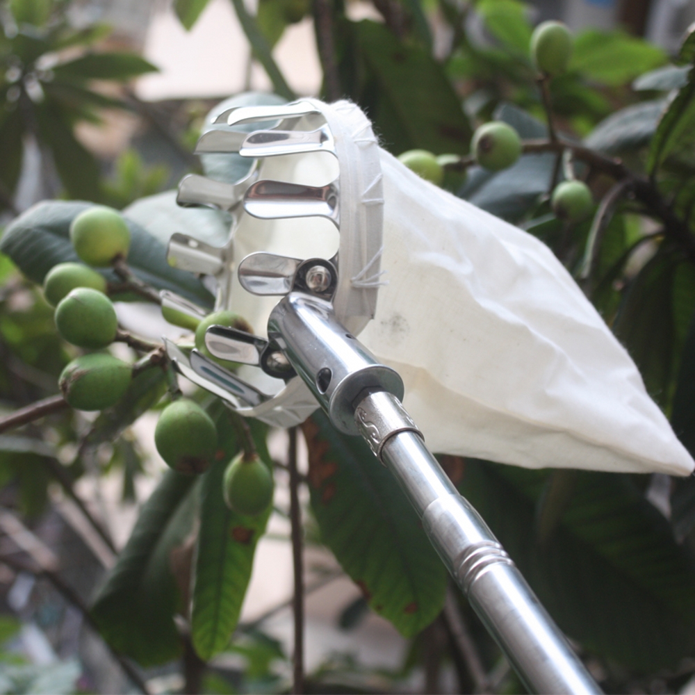 Picking Tools for Orchard Garden Farm Apple Peach High Tree Fruit