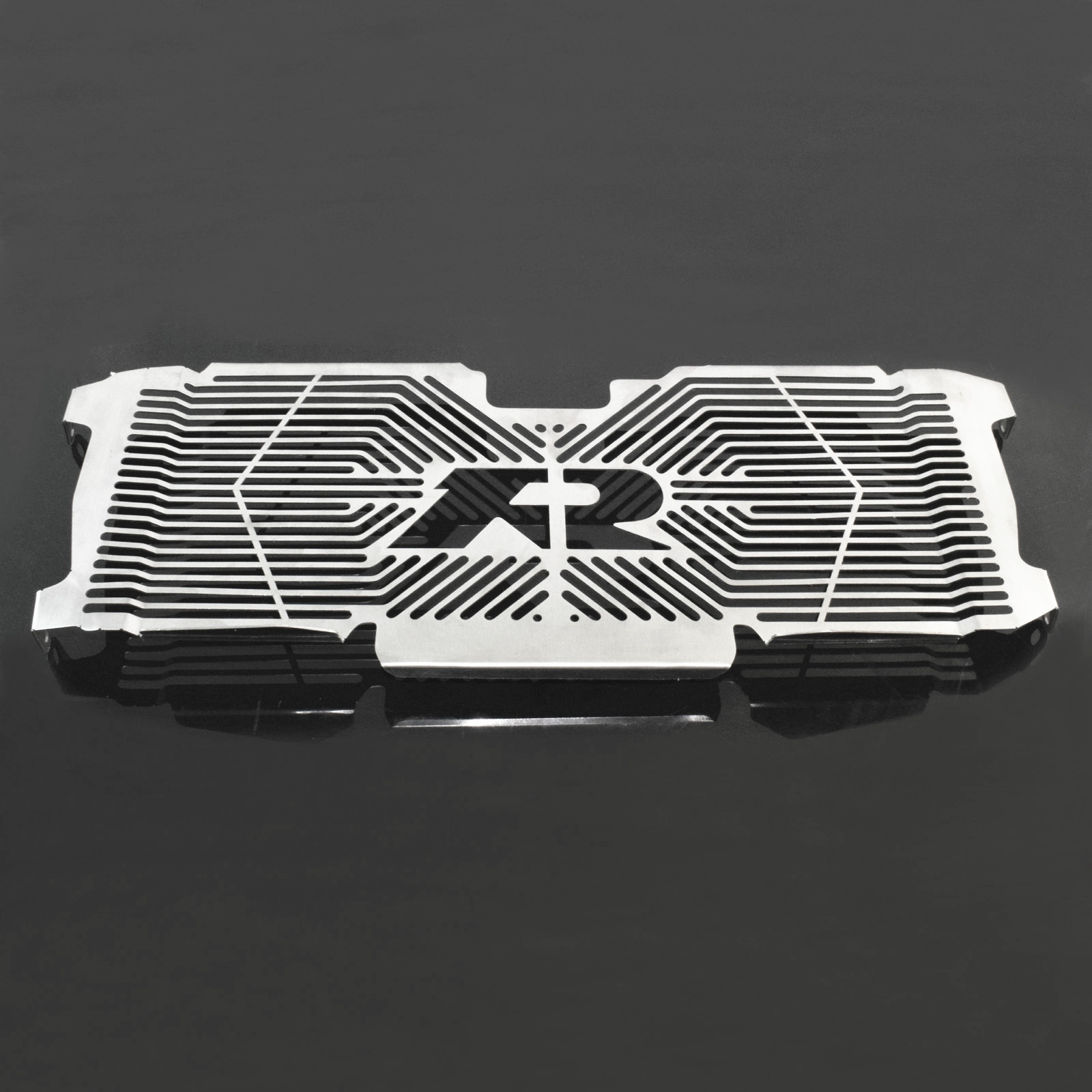 Protector de la cubierta de la rejilla del radiador para BMW R1200R R1250R R1200RS R1250RS LC K53 K54 - Imagen 11 de 21