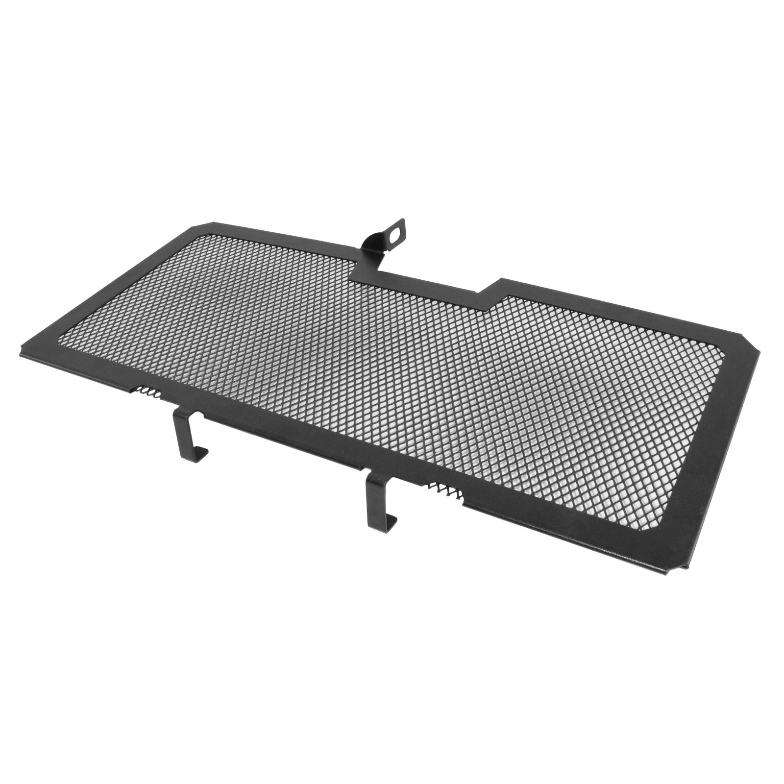 Protector de la cubierta de la rejilla del radiador para BMW R1200R R1250R R1200RS R1250RS LC K53 K54 - Imagen 18 de 21