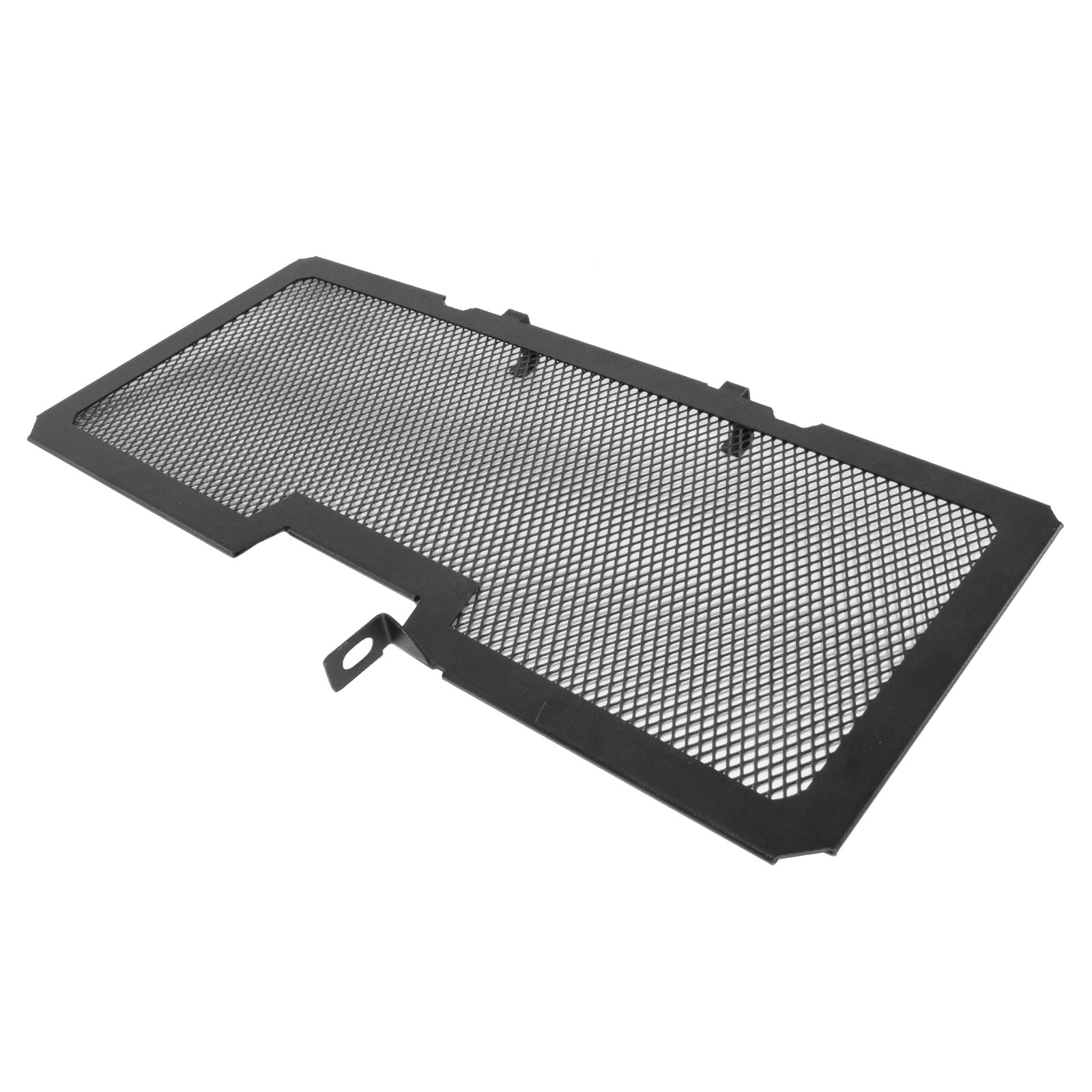 Protector de la cubierta de la rejilla del radiador para BMW R1200R R1250R R1200RS R1250RS LC K53 K54 - Imagen 20 de 21