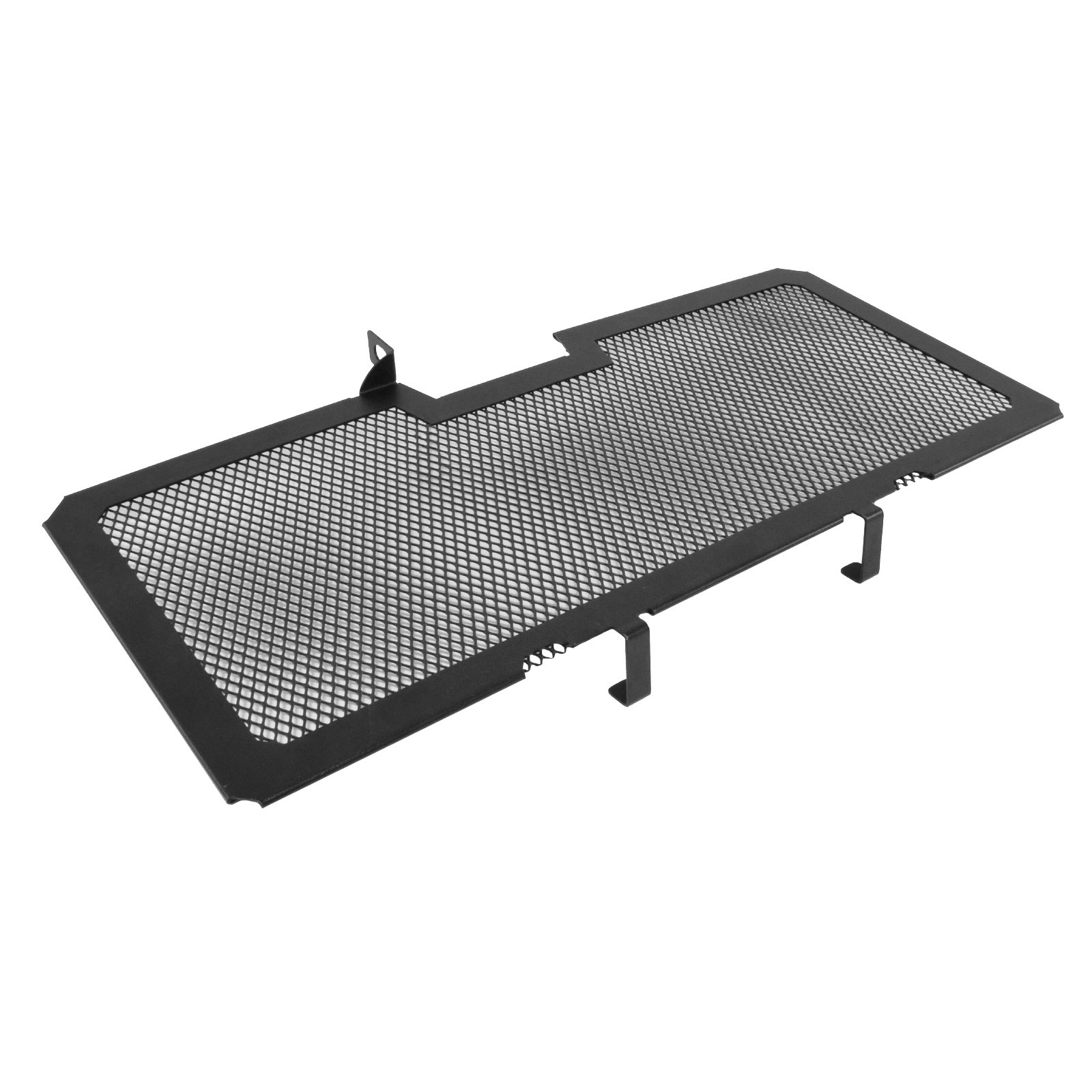 Protector de la cubierta de la rejilla del radiador para BMW R1200R R1250R R1200RS R1250RS LC K53 K54 - Imagen 19 de 21