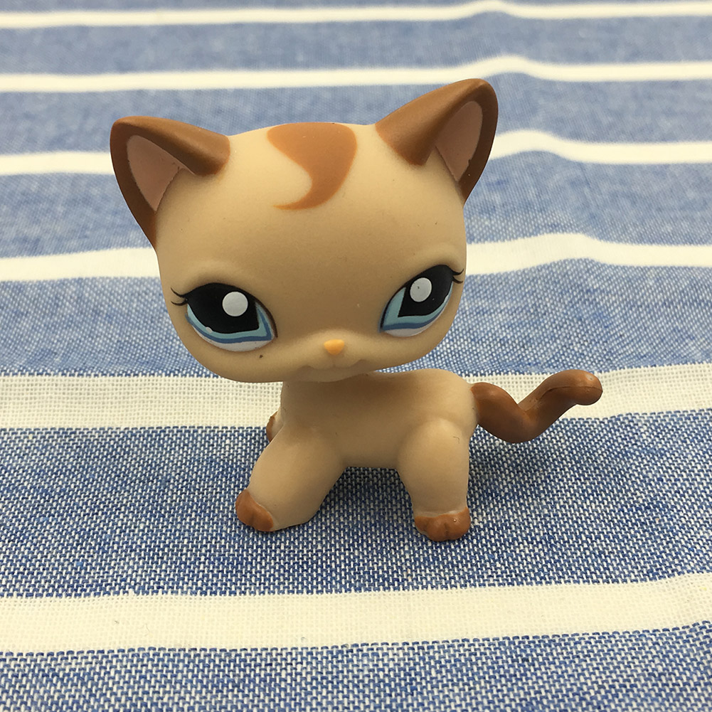 lps kittens for sale