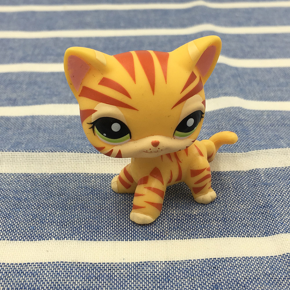 orange shorthair lps