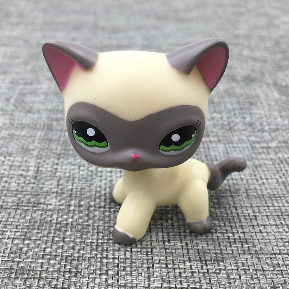 lps shorthair cat 1116