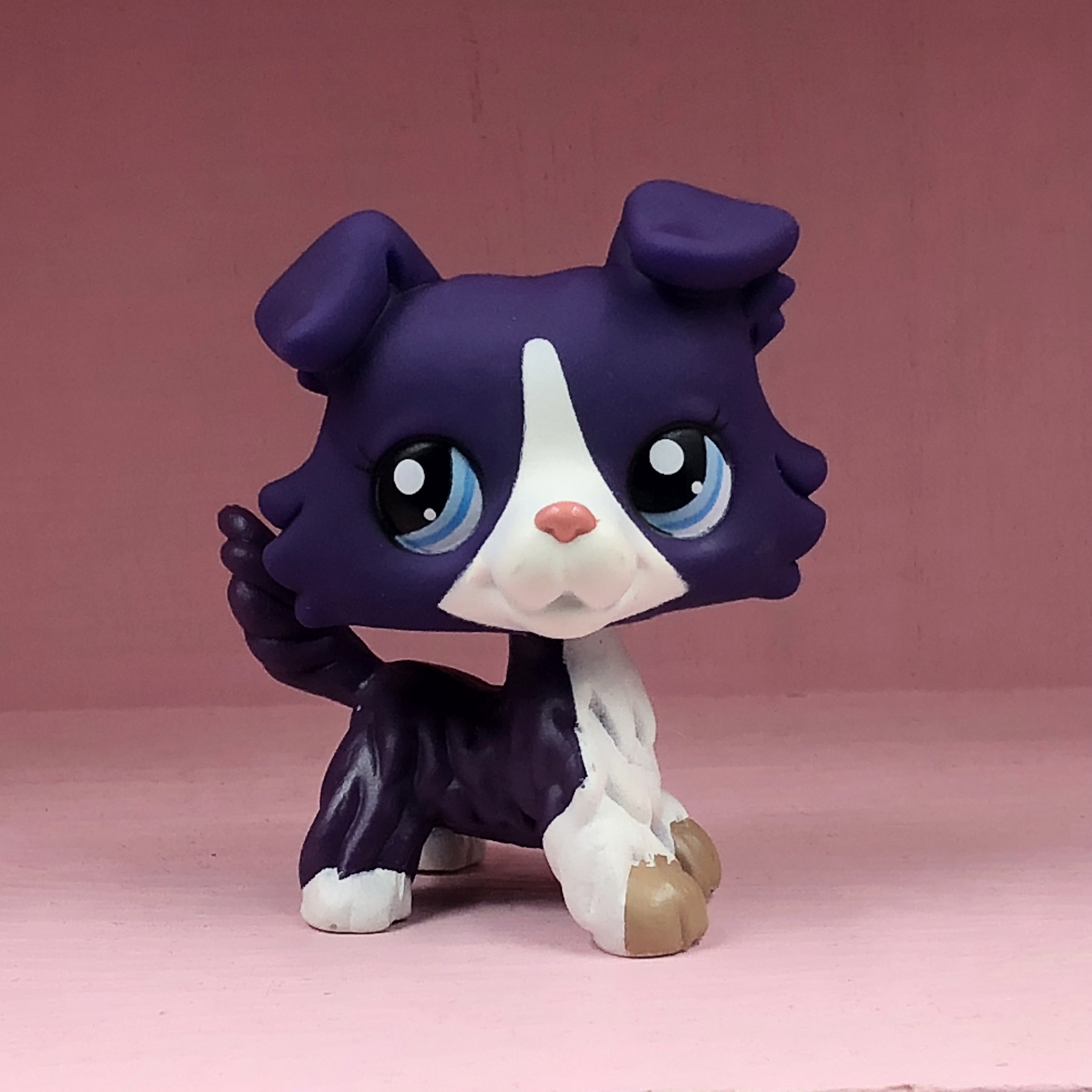 Littlest Pet Shop Puppy Purple Collie Dog Blue Eyes Animal Figures LPS ...