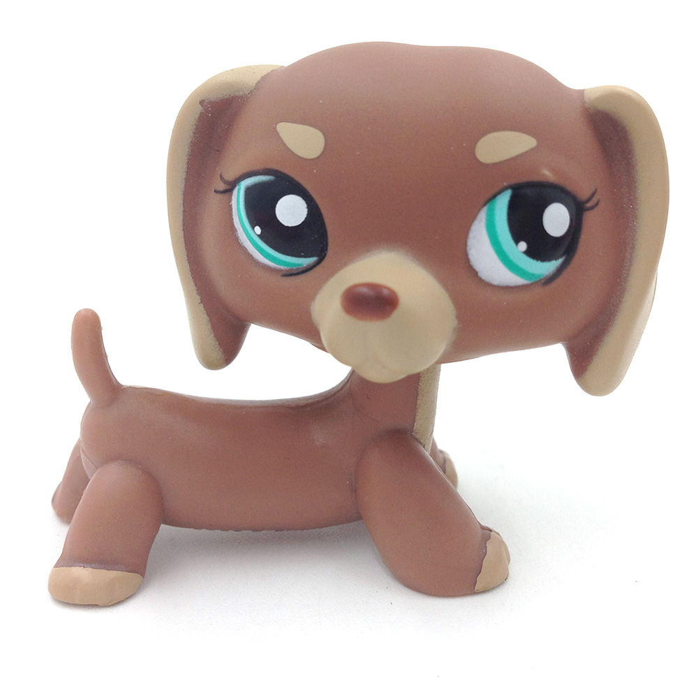 lps dog with long ears