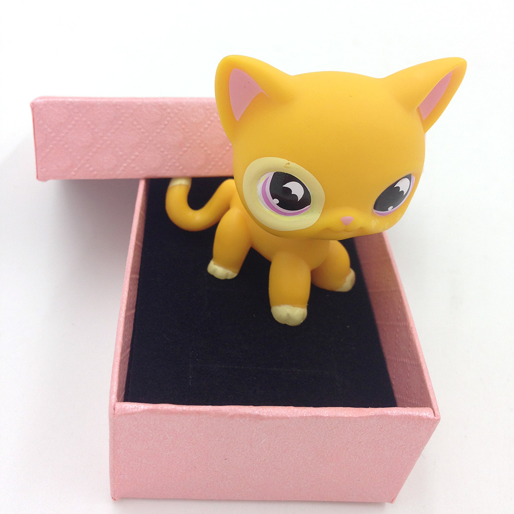 lps shorthair cat 855