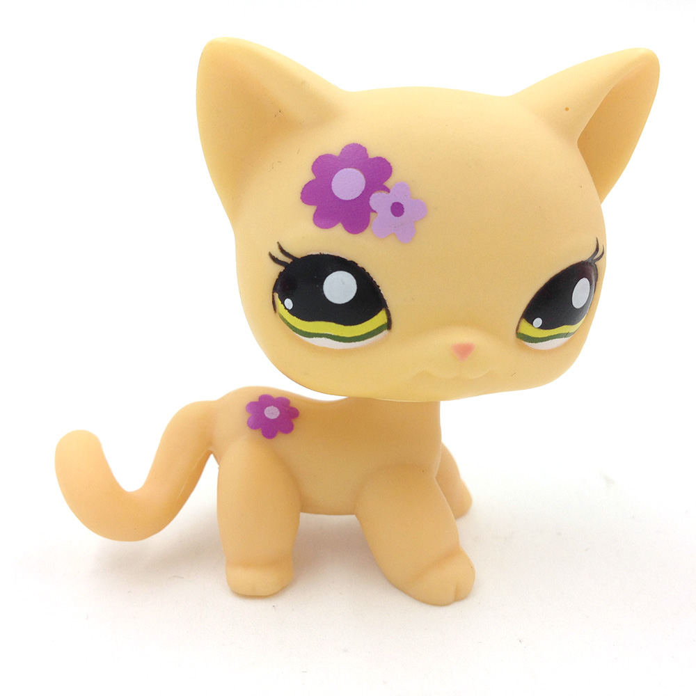 lps cat with hair