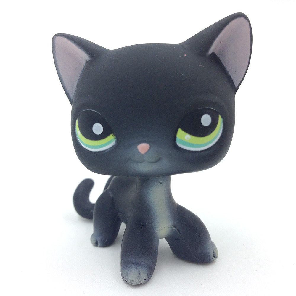 lps black shorthair