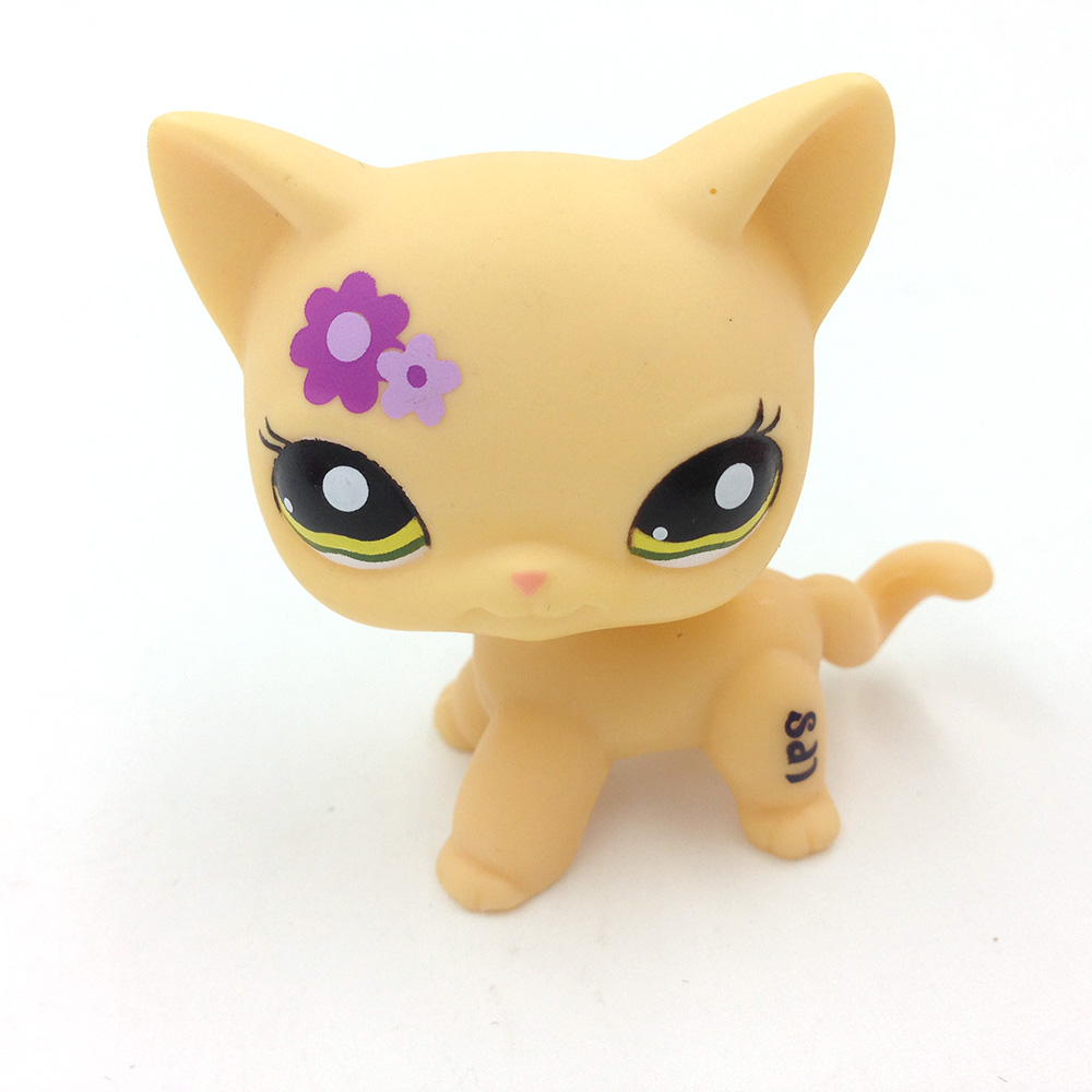 lps short hair cats