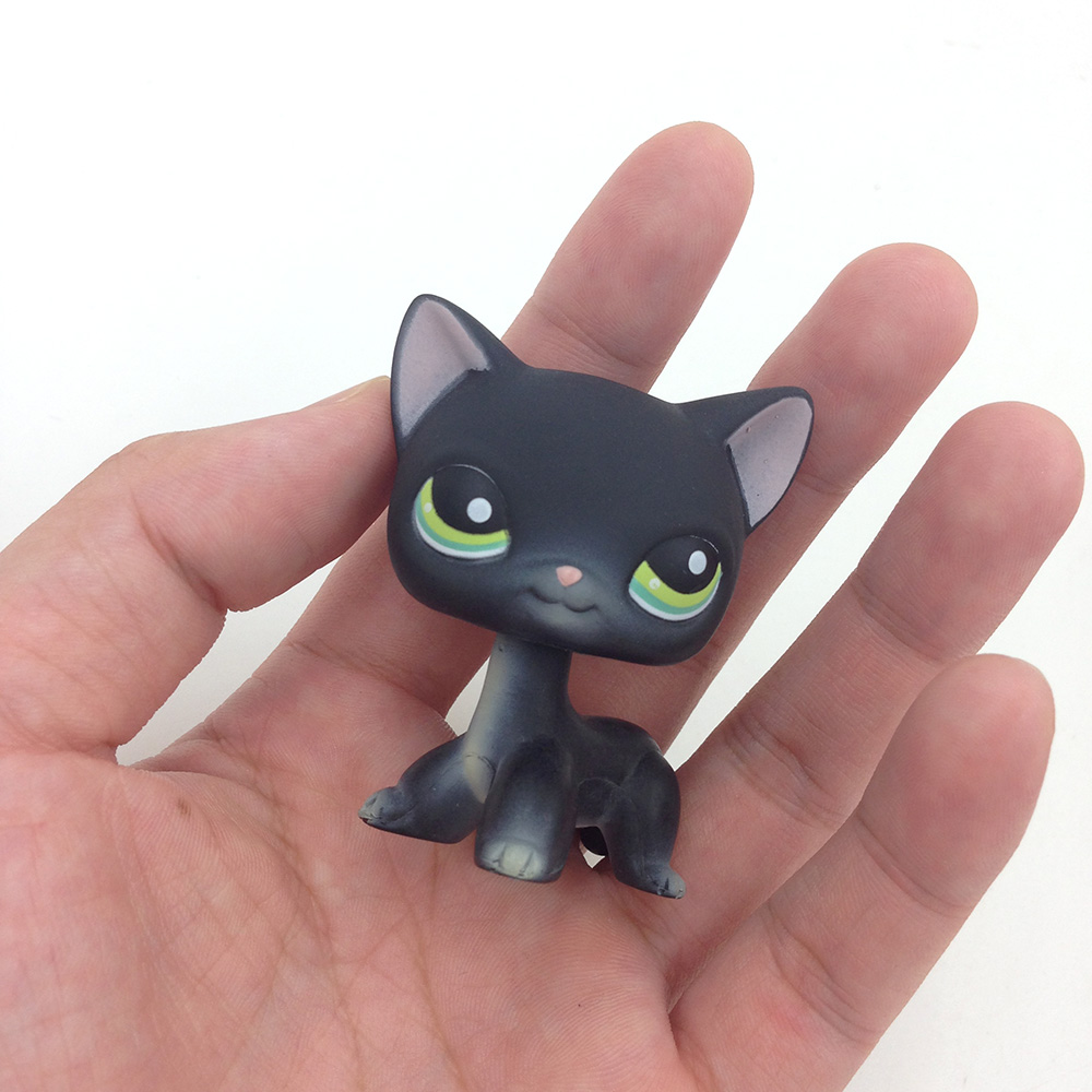 lps black shorthair