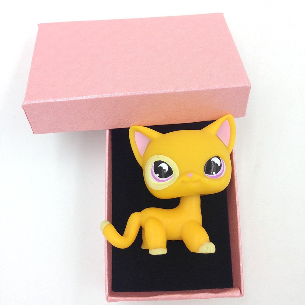 lps shorthair cat 855