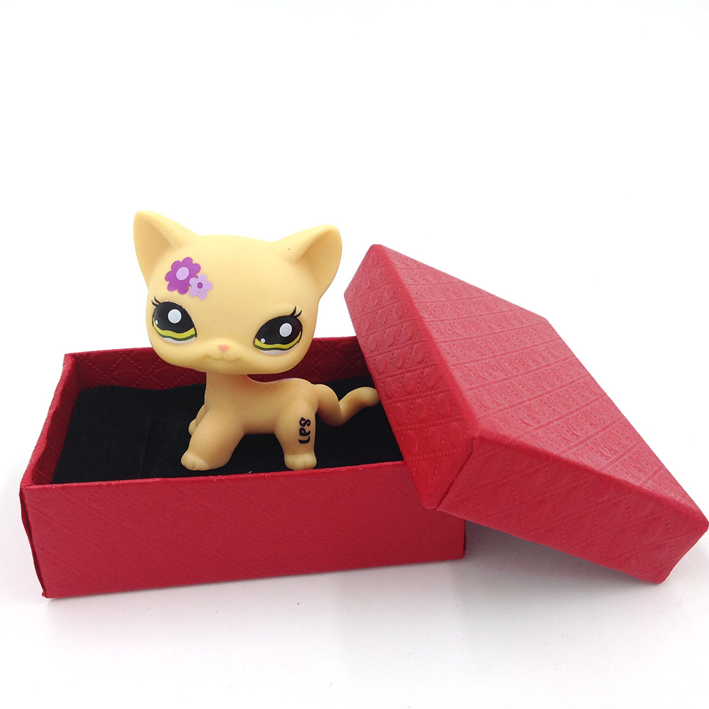 lps shorthair cat with flower