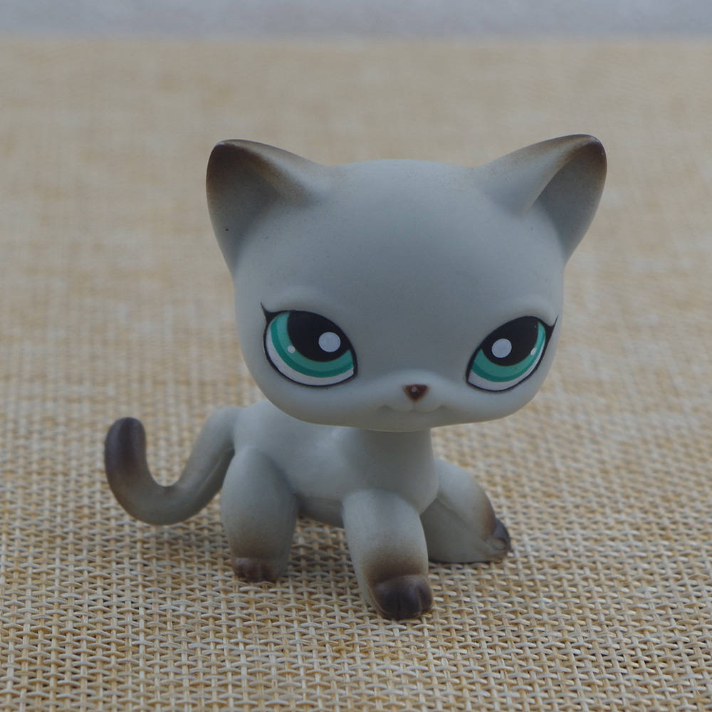 hasbro cat toy