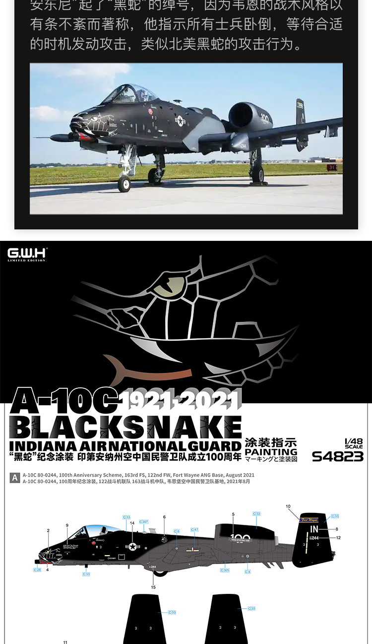 Great Wall Hobby S4823 1/48 A-10C 1921-2021 BLACKSNAKE