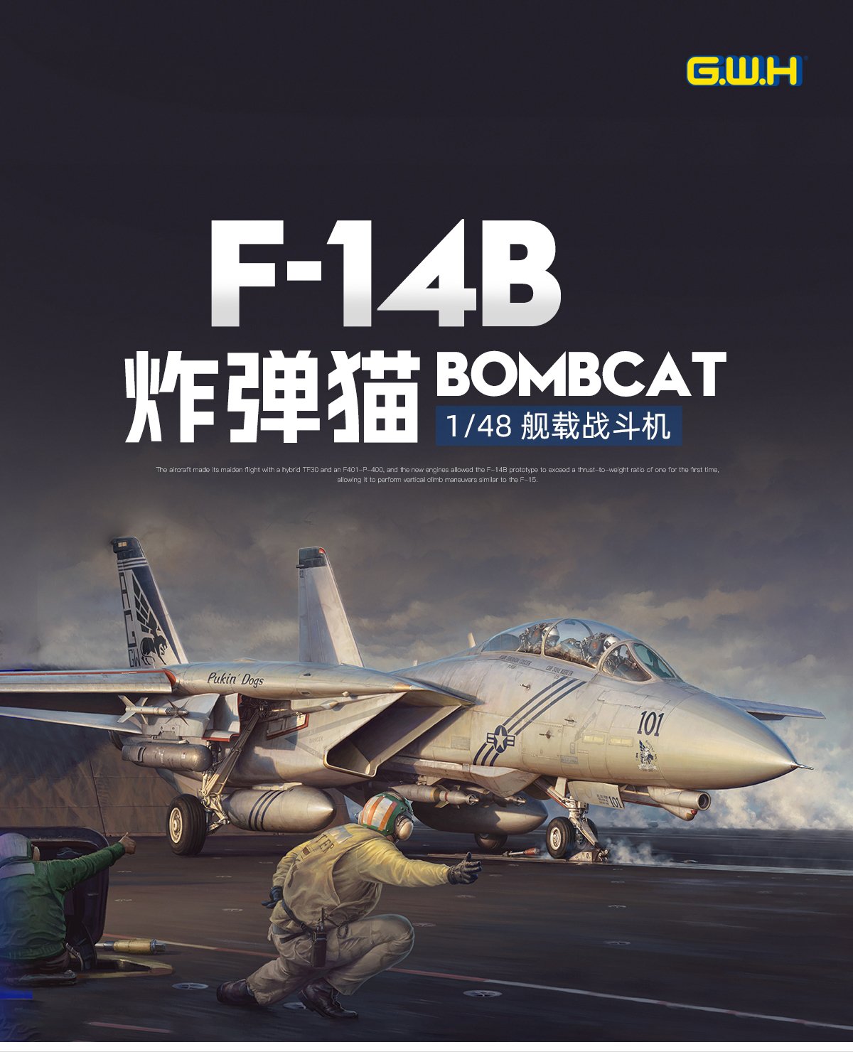 その他 F-14B TOMCAT How The F-14 Tomcat Evolved And Became The Bombcat - The