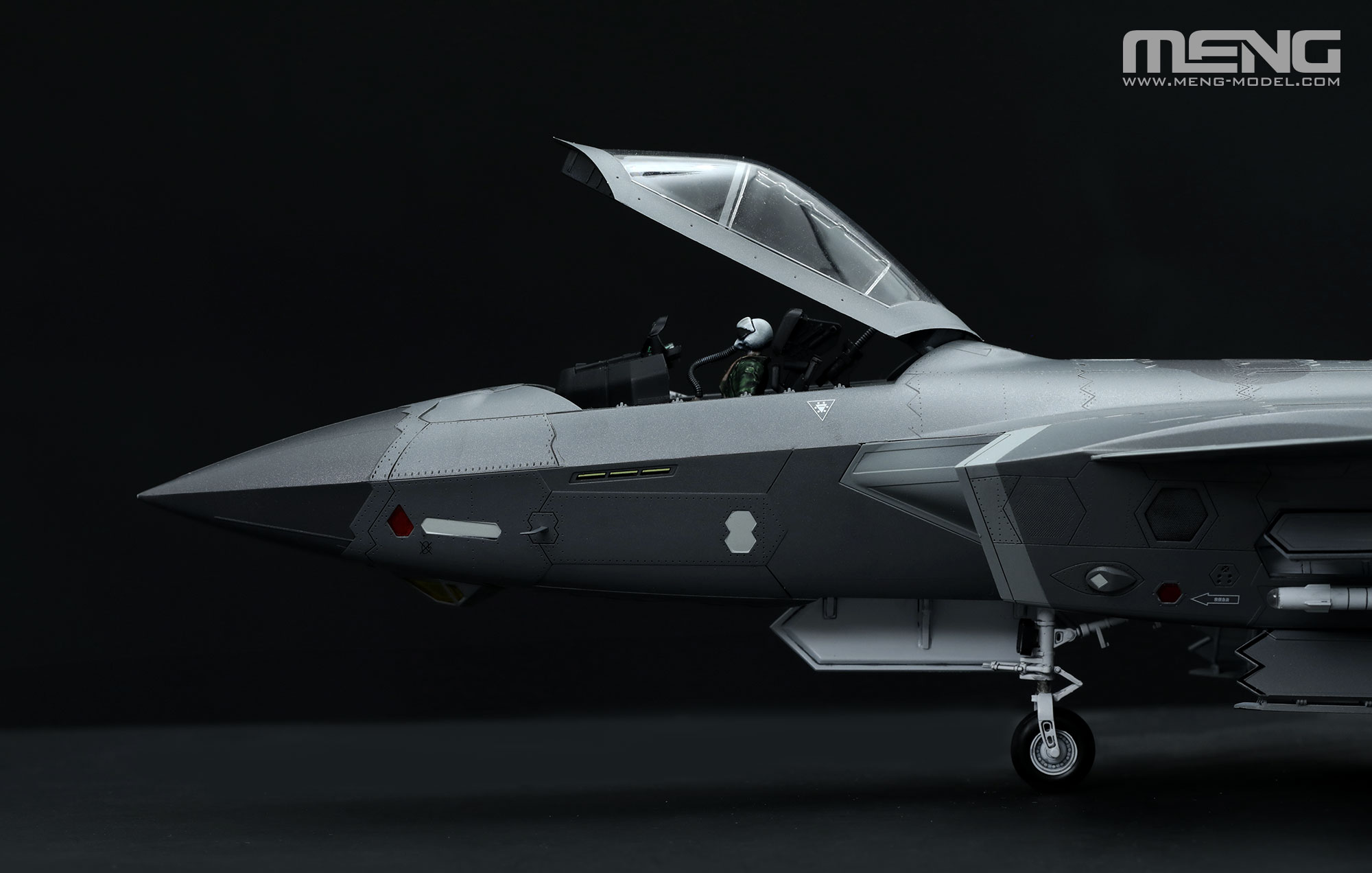 MENG LS-002S 1/48 Chinese Chengdu J-20 Stealth Fighter Beast