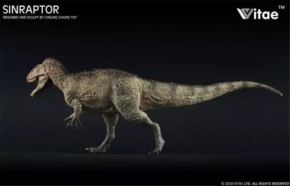 VITAE SINRAPTOR Dinosaur Model Toy Collectable Art Figure | eBay