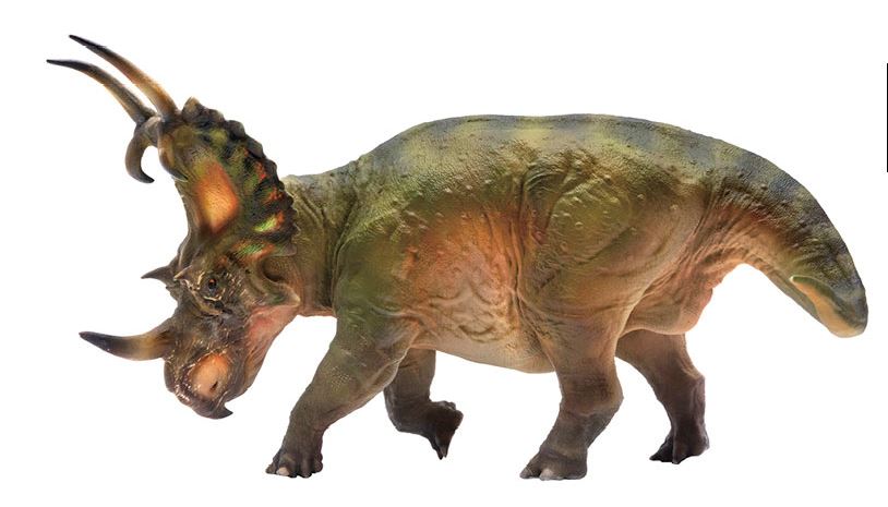collectable dinosaur models