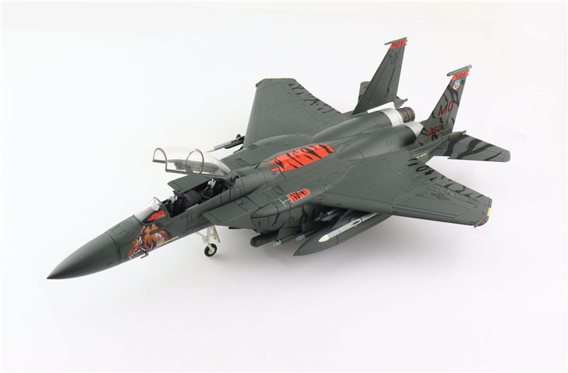 HM 1/72 For Boeing F-15E Strike Eagle USA 366th FW 391st FS