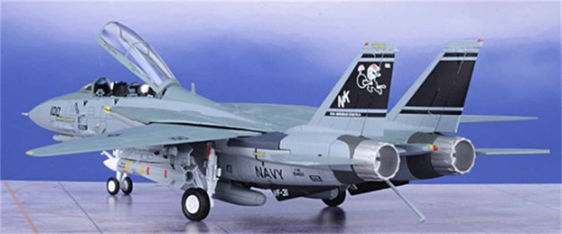 CENTURY WINGS Aircraft Diecast Model | 1/72 Scale F-14 | F