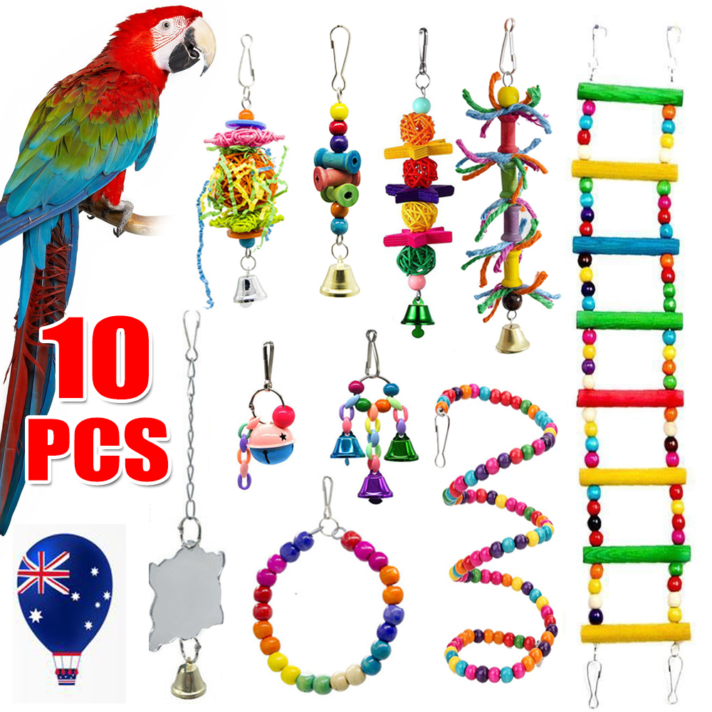 parrot bird toys