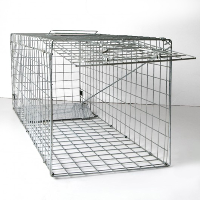 XXL Large Animal Trap Cage Humane Live Possum Fox Rat Cat Rabbit Hare ...