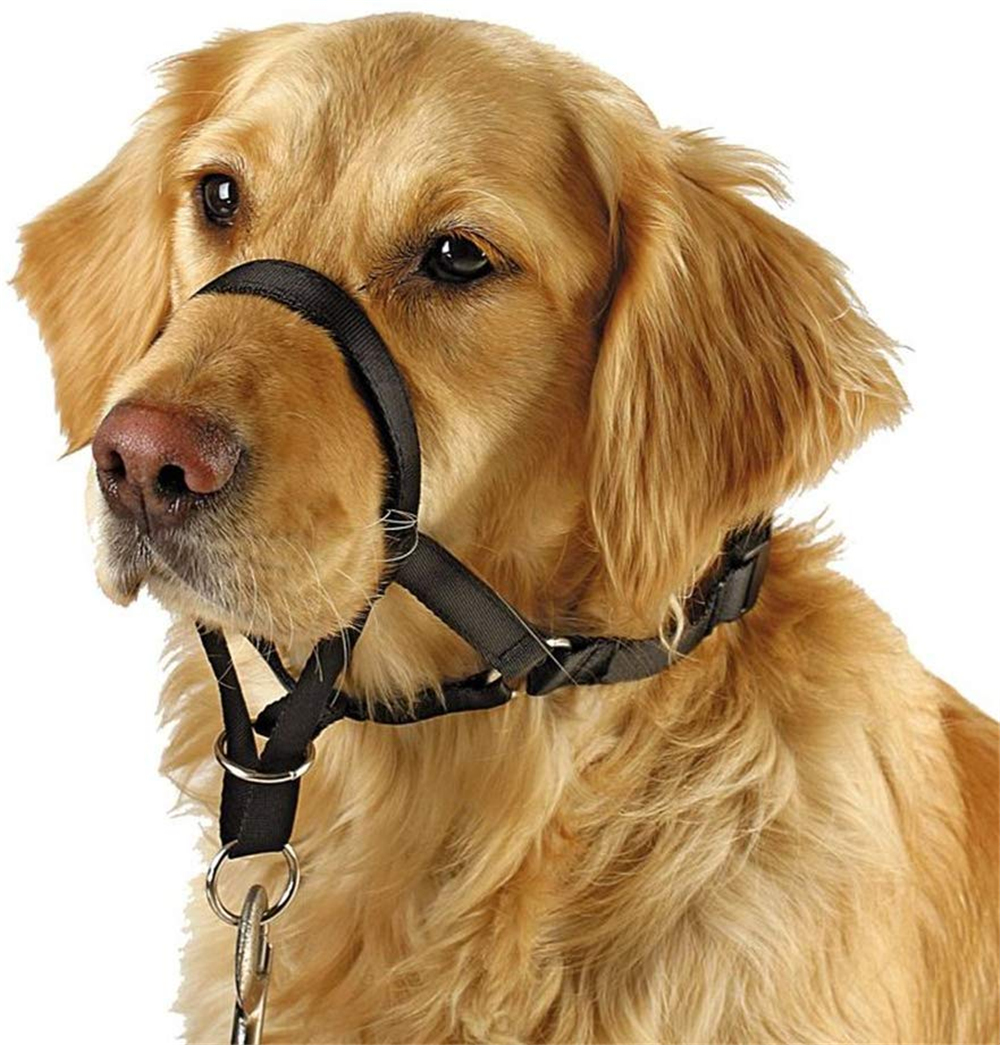 Dog Halter Halti Training Tool Head Collar Pulling Gentle ...