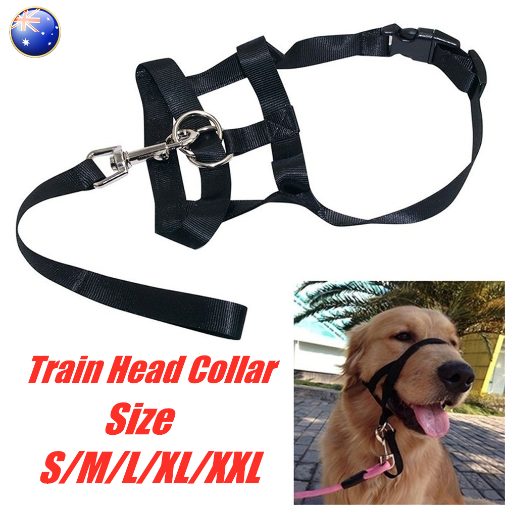 halti muzzle harness