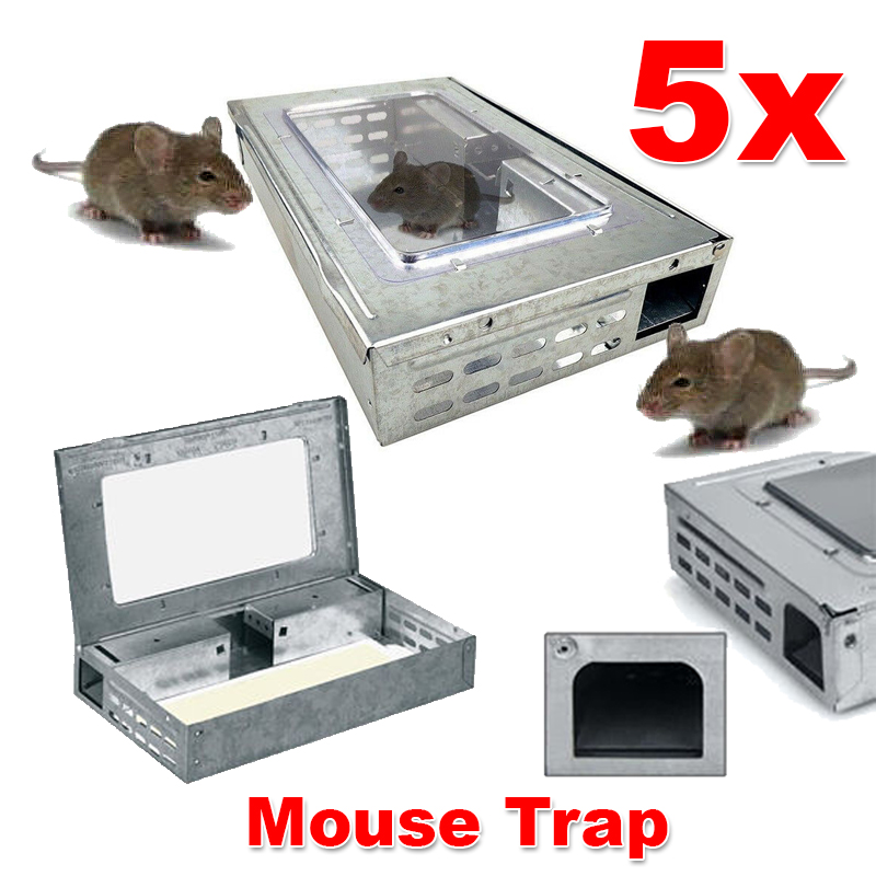 Multi Live Catch Mouse Humane Safe Self Catching Metal Trap Mice ...