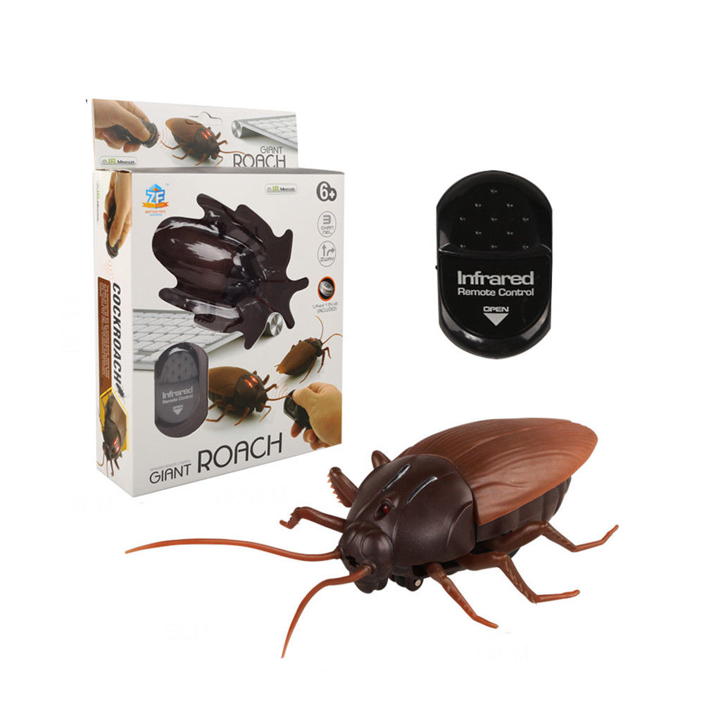 electronic cockroach toy