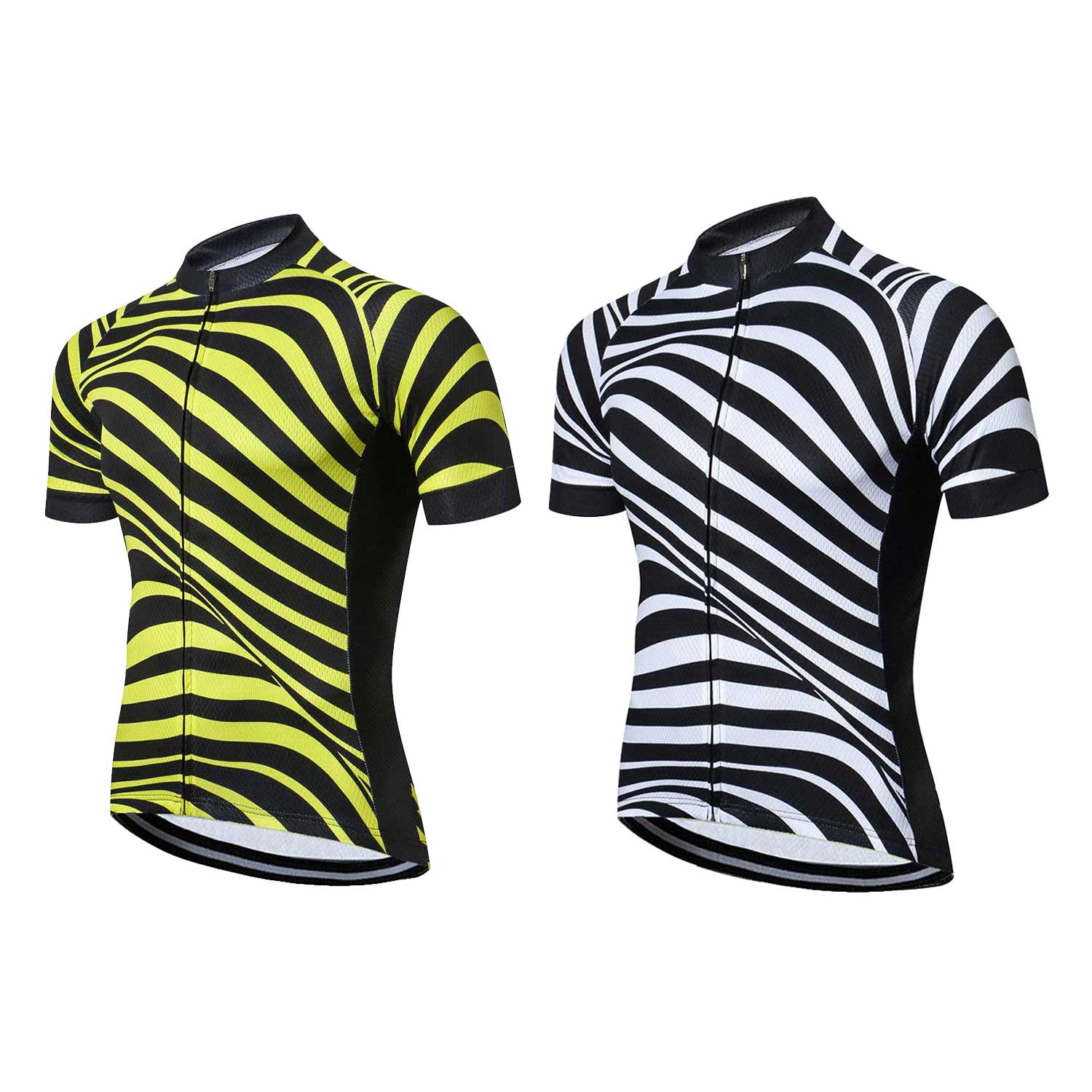 Зебра спорт