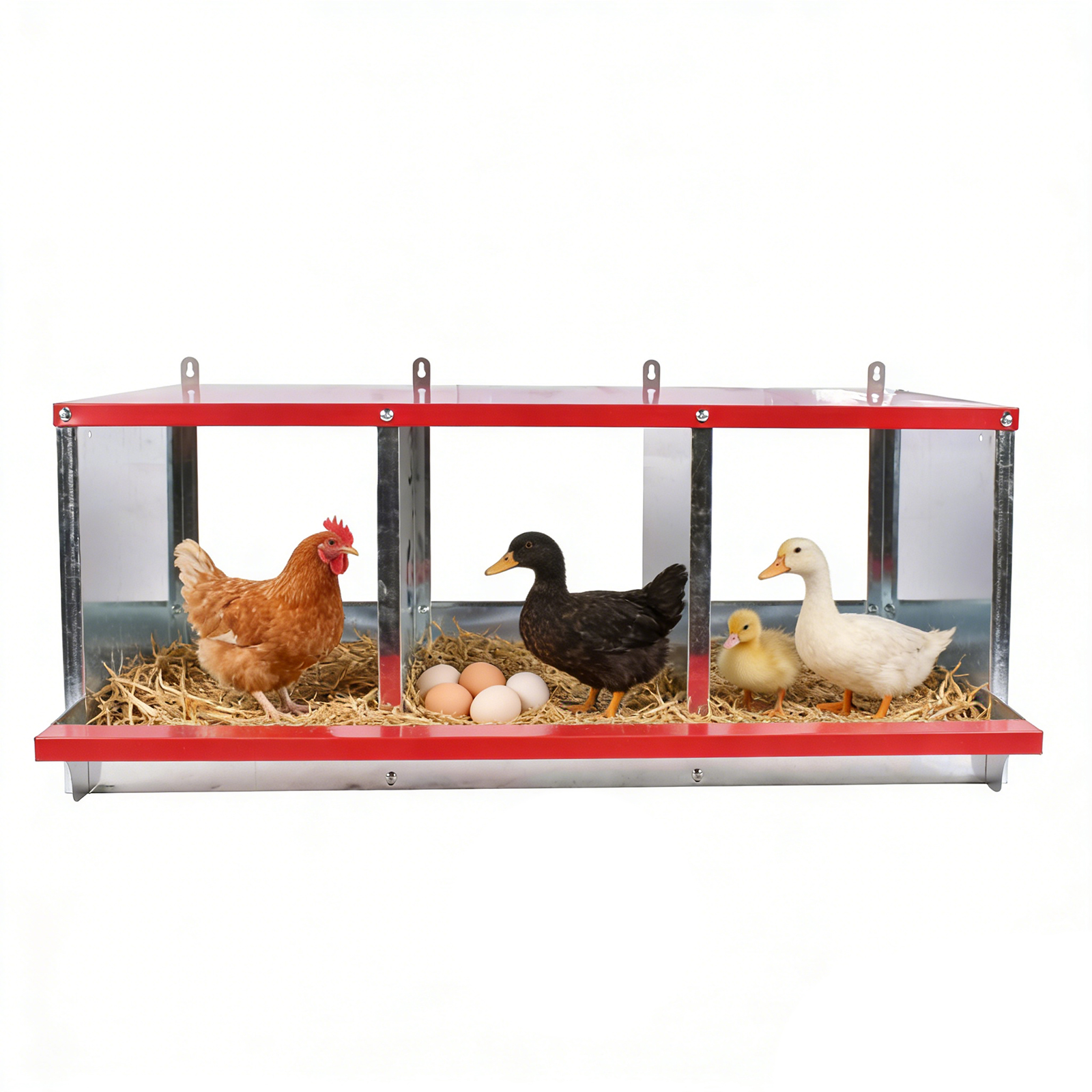 3-10 Holes Chicken Nesting Boxes Wall-Mount Roll Away Chicken Egg Laying Box US