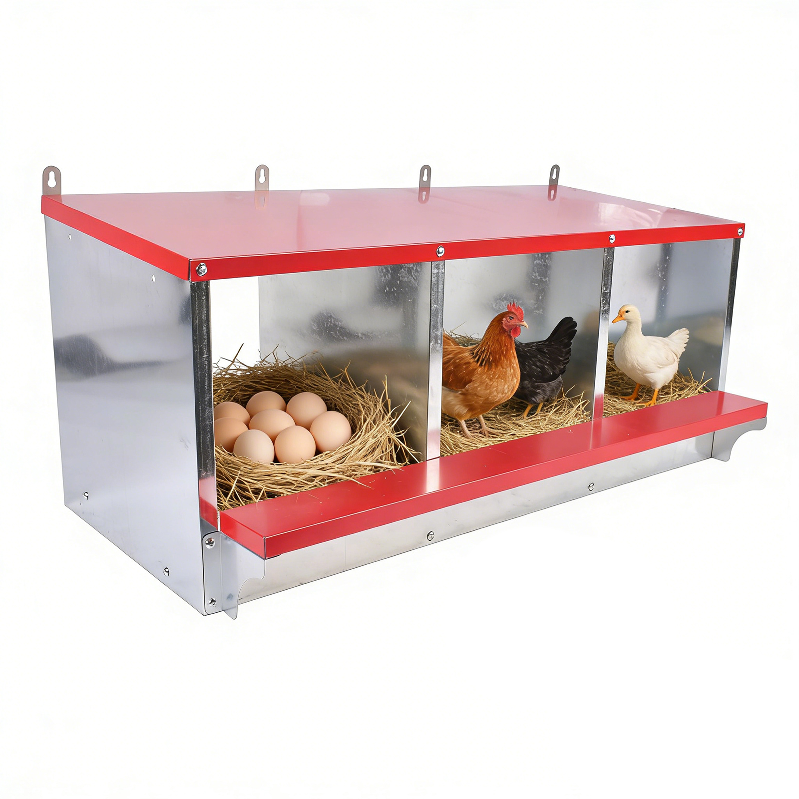 3-10 Holes Chicken Nesting Boxes Wall-Mount Roll Away Chicken Egg Laying Box US