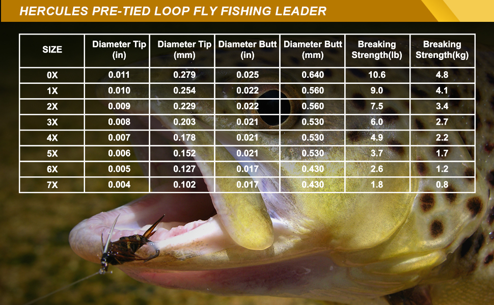 marked by size within the assortment, making it easy to identify the correct fly tapered leader.
