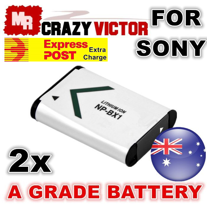2x Battery for Sony HDR-CX240 HDR-CX405 HDR-CX440 HDR-CX440/B Handycam