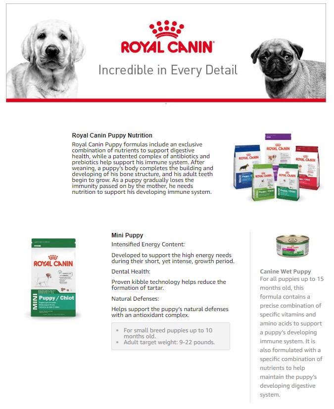 Royal Canin Size Health Nutrition Small Puppy Dry Dog Food 13 Lb