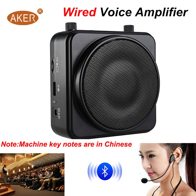 voice amplifier speaker