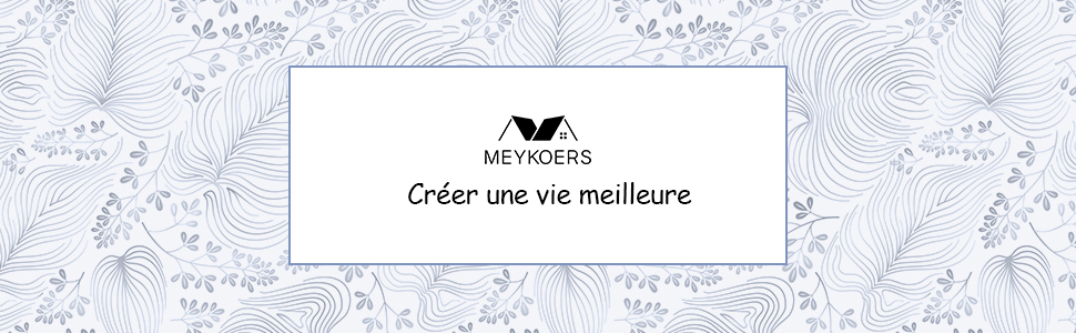 Meykoers Kit Complet Robinet De Radiateur Thermostatique équerre Vannes De Radiateur 1/2 Coudée Chromée 14 Logo de la marque