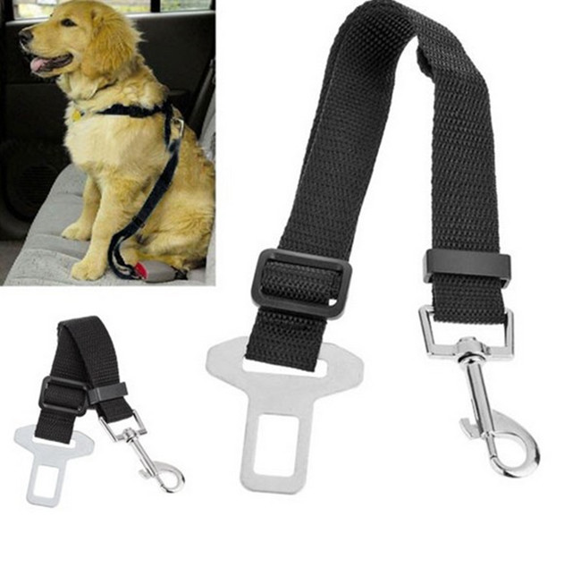 dog car safety belt