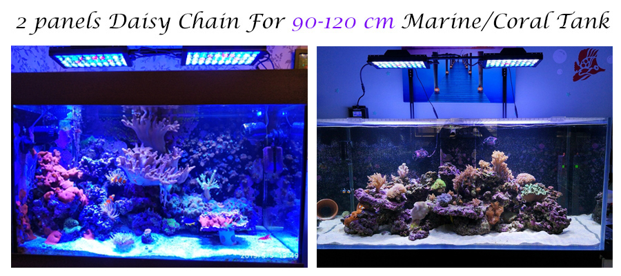 marine aquarium lighting marine aquarium lighting