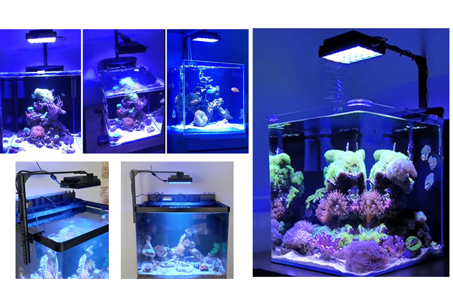 PopBloom lumière d'aquarium led éclairage lampe pour aquarium led lumière  marin