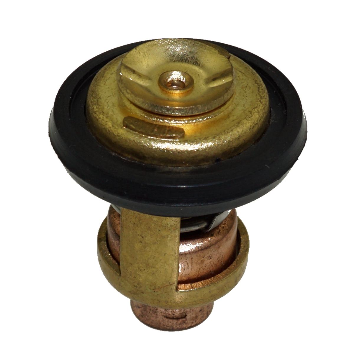 66M124110000 66M124110100 thermostat for Yamaha 4Stroke Outboard