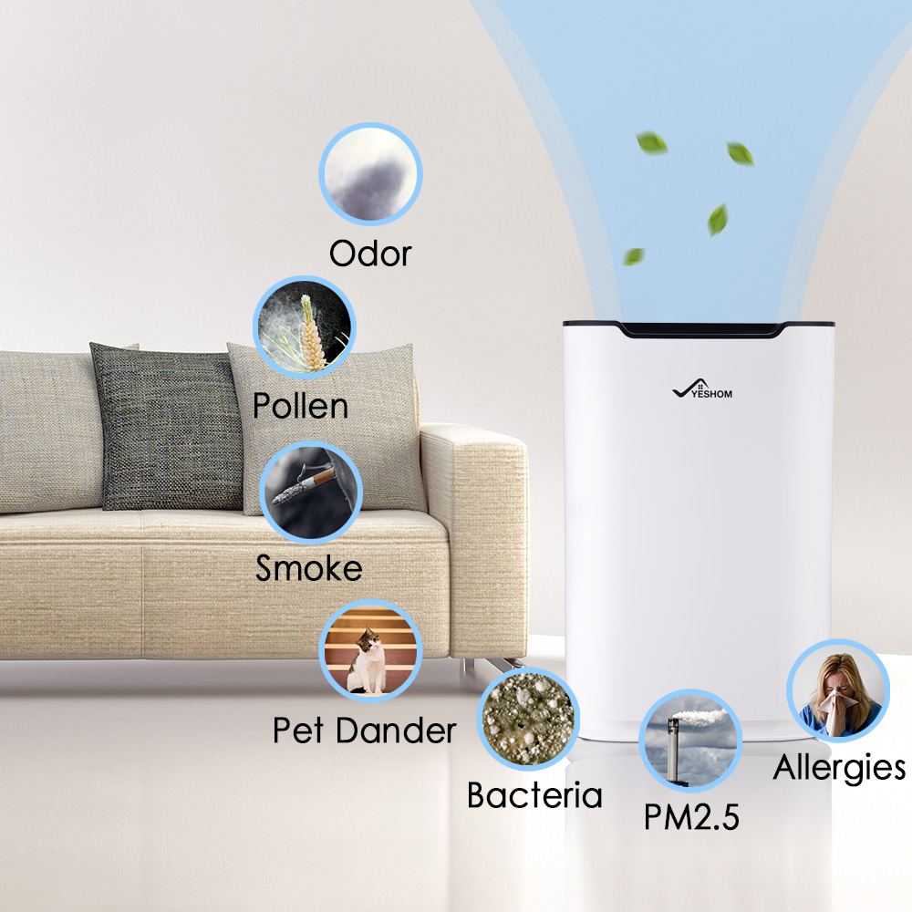 carbon air purifier for smoke
